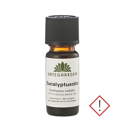 Eucalyptusolie - 10 ml